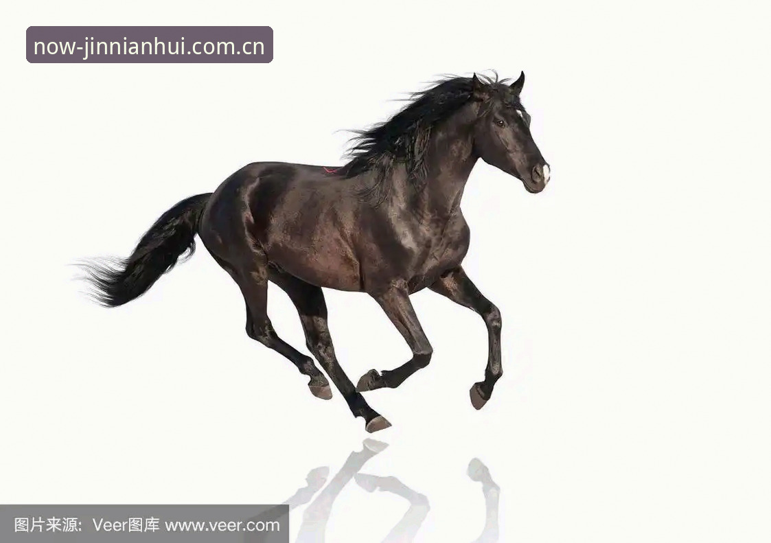 一个世界排名第114的“黑马”怎么就成了8号种子的背景板？法网这场决赛你不知道的真相